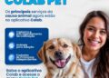 Prefeitura lança Colab Pet e amplia acesso aos serviços da causa animal pelo aplicativo Colab