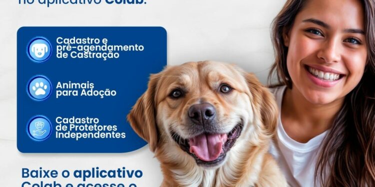 Prefeitura lança Colab Pet e amplia acesso aos serviços da causa animal pelo aplicativo Colab