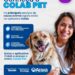 Prefeitura lança Colab Pet e amplia acesso aos serviços da causa animal pelo aplicativo Colab