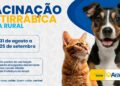 Prefeitura de Araxá inicia vacinação antirrábica na zona rural no dia 31 de agosto