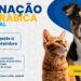 Prefeitura de Araxá inicia vacinação antirrábica na zona rural no dia 31 de agosto