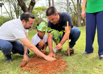 Dia da Árvore é celebrado com plantio e educação ambiental no Parque do Cristo
