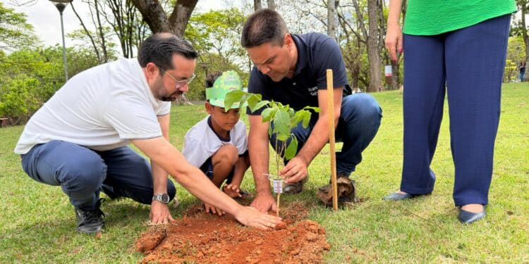 Dia da Árvore é celebrado com plantio e educação ambiental no Parque do Cristo
