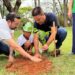 Dia da Árvore é celebrado com plantio e educação ambiental no Parque do Cristo