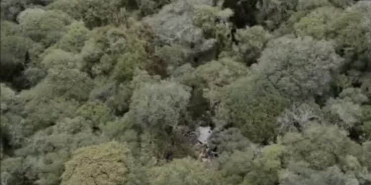 Destroços de helicóptero com cantor Rick são encontrados; não há sobreviventes