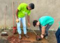 Primavera marca intensificação do plantio de árvores nas calçadas de Araxá