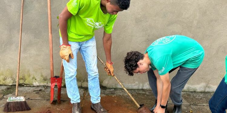 Primavera marca intensificação do plantio de árvores nas calçadas de Araxá