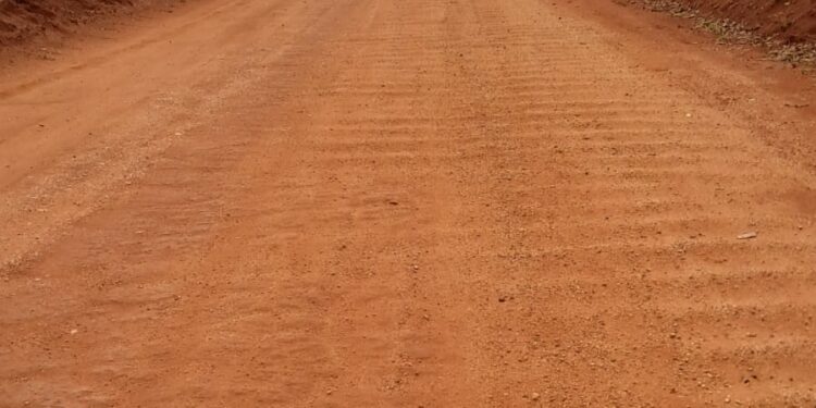 Prefeitura amplia estradas rurais e reforça manutenção antes do período chuvoso