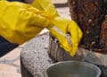 Novo LIRAa aponta média infestação do Aedes aegypti e reforça cuidados preventivos em Araxá