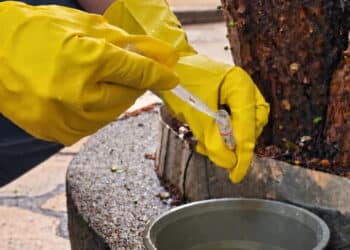 Novo LIRAa aponta média infestação do Aedes aegypti e reforça cuidados preventivos em Araxá