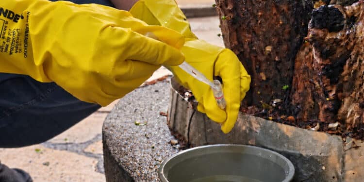 Novo LIRAa aponta média infestação do Aedes aegypti e reforça cuidados preventivos em Araxá