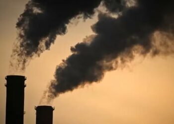 Gases de efeito estufa batem novo recorde e ampliam aquecimento global, alerta ONU