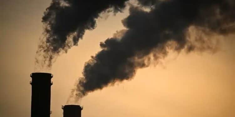 Gases de efeito estufa batem novo recorde e ampliam aquecimento global, alerta ONU