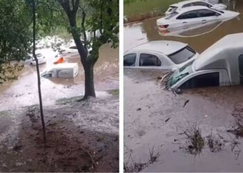 Em 1h30, chuva mata mulher em SP, alaga túnel e ruas, deixa carros submersos e derruba casas e árvores