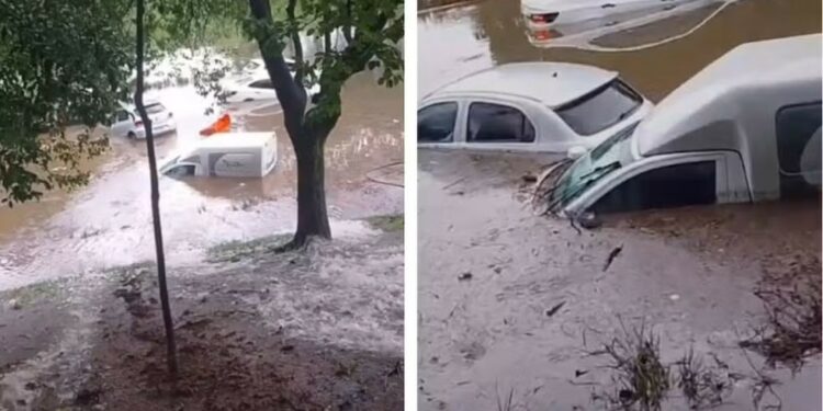 Em 1h30, chuva mata mulher em SP, alaga túnel e ruas, deixa carros submersos e derruba casas e árvores