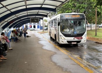 Eleitores terão transporte coletivo público gratuito neste domingo de votação