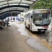 Eleitores terão transporte coletivo público gratuito neste domingo de votação