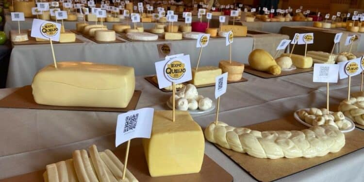 Sebrae aposta na qualificação para impulsionar negócios do queijo artesanal