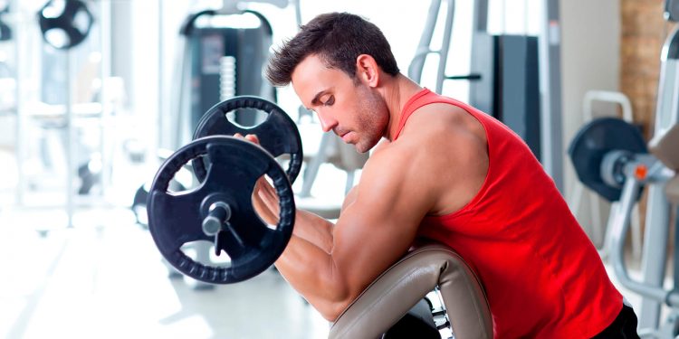 Fibras musculares, use sua força interior