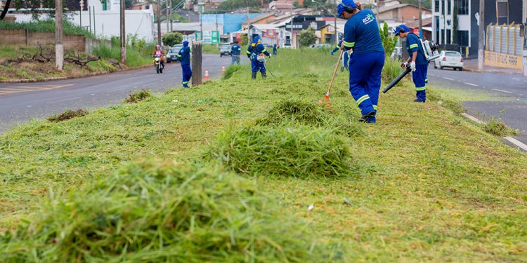 Empresa ganha licitação e começa de imediato serviços de capina e poda em Araxá
