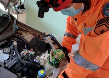 Gato é resgatado dentro do capô de um carro pelo Corpo de Bombeiros em Araxá
