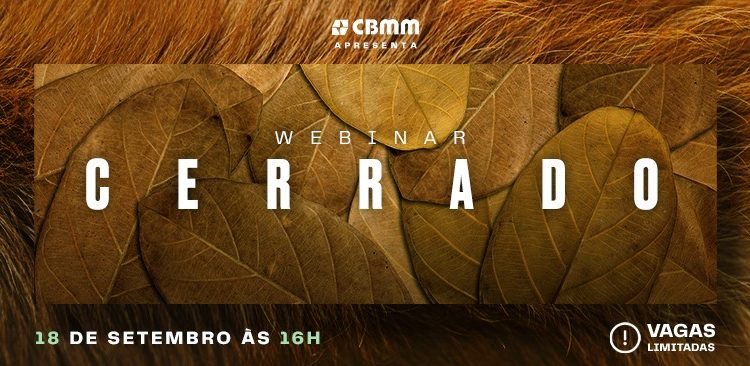 Webinar reúne especialistas para debater o bioma Cerrado