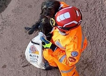 BOMBEIROS MILITARES DE ARAXÁ RESGATAM CÃO EM CÓRREGO CANALIZADO