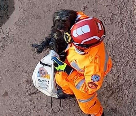 BOMBEIROS MILITARES DE ARAXÁ RESGATAM CÃO EM CÓRREGO CANALIZADO
