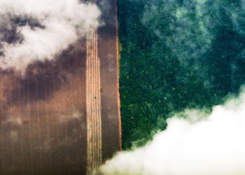 Em carta a Biden, Bolsonaro promete fim do desmatamento ilegal