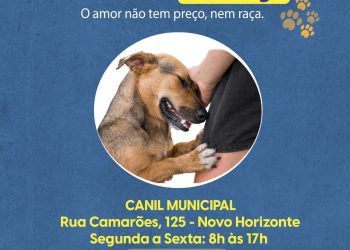 Adote um Cãomigo