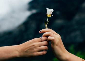 HOʻOPONOPONO O PODER DA CURA INTERIOR