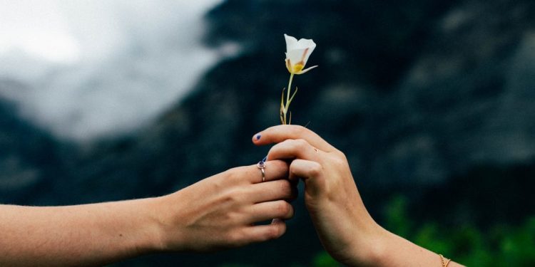 HOʻOPONOPONO O PODER DA CURA INTERIOR