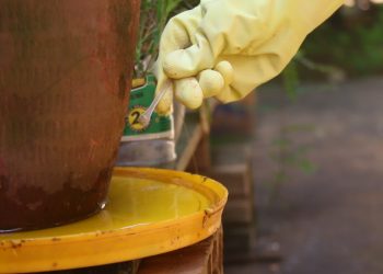 Prefeitura abre inscrições para processo seletivo de agente de combate às endemias