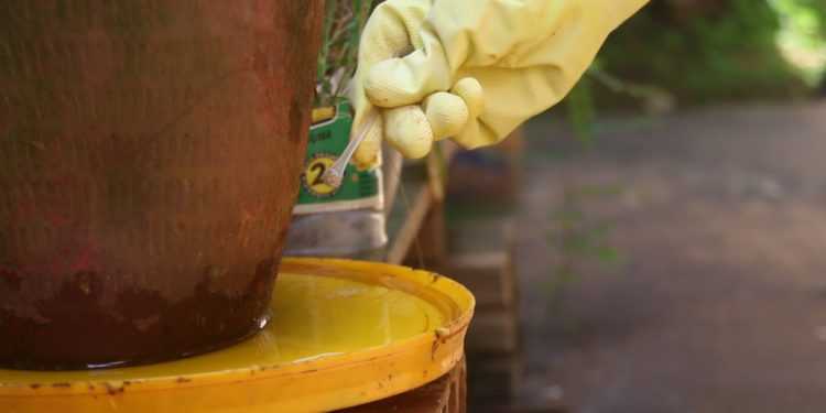 Prefeitura abre inscrições para processo seletivo de agente de combate às endemias