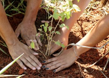 Prefeitura apoia projeto de recuperação das nascentes