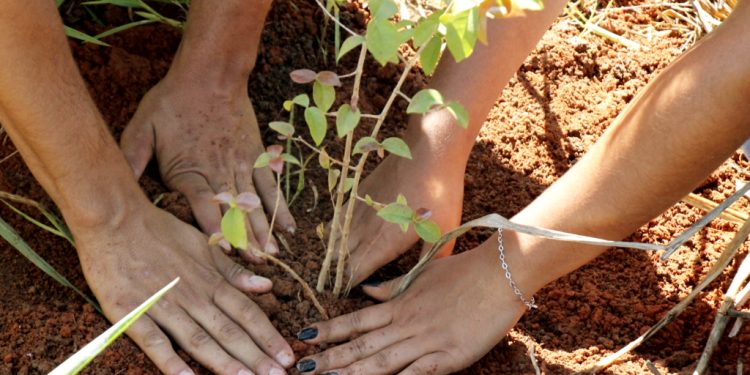 Prefeitura apoia projeto de recuperação das nascentes