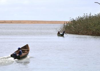 Mariana: pesquisadores encontram metais tóxicos em peixes do Rio Doce